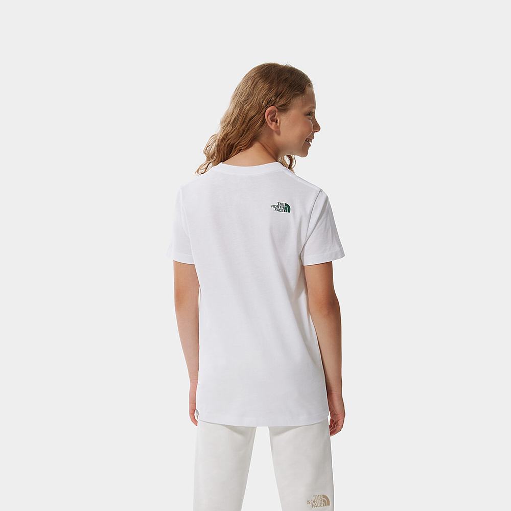 Tricko The North Face Easy Kratke-Sleeve Chlapcenske Biele Zelene | ZXU-453712