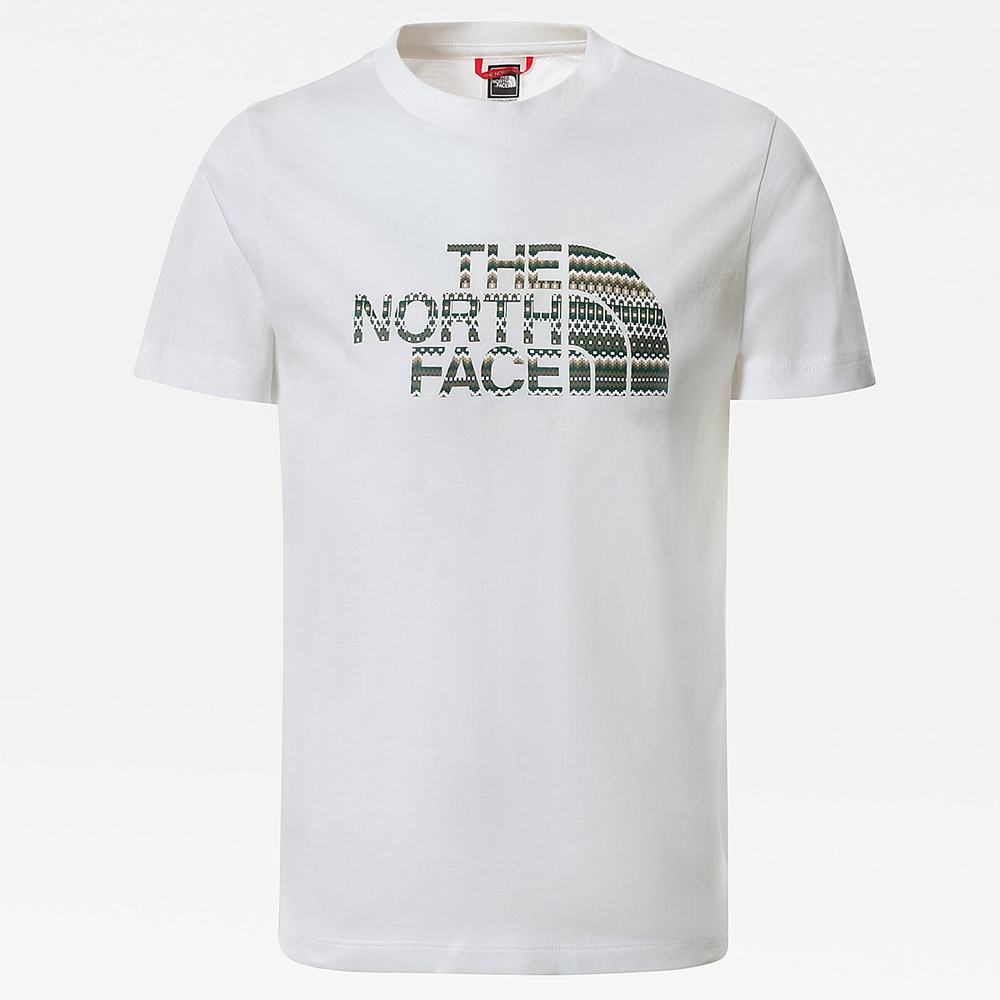 Tricko The North Face Easy Kratke-Sleeve Chlapcenske Biele Zelene | ZXU-453712