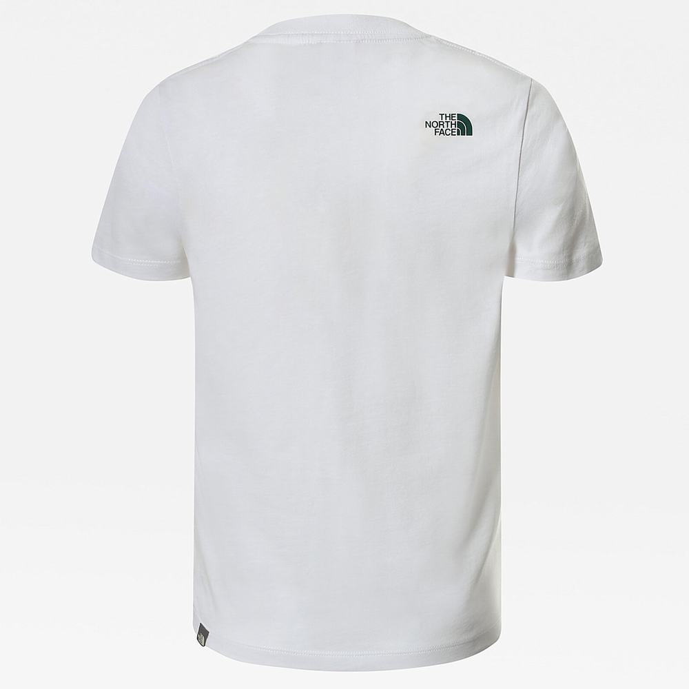 Tricko The North Face Easy Kratke-Sleeve Chlapcenske Biele Zelene | ZXU-453712