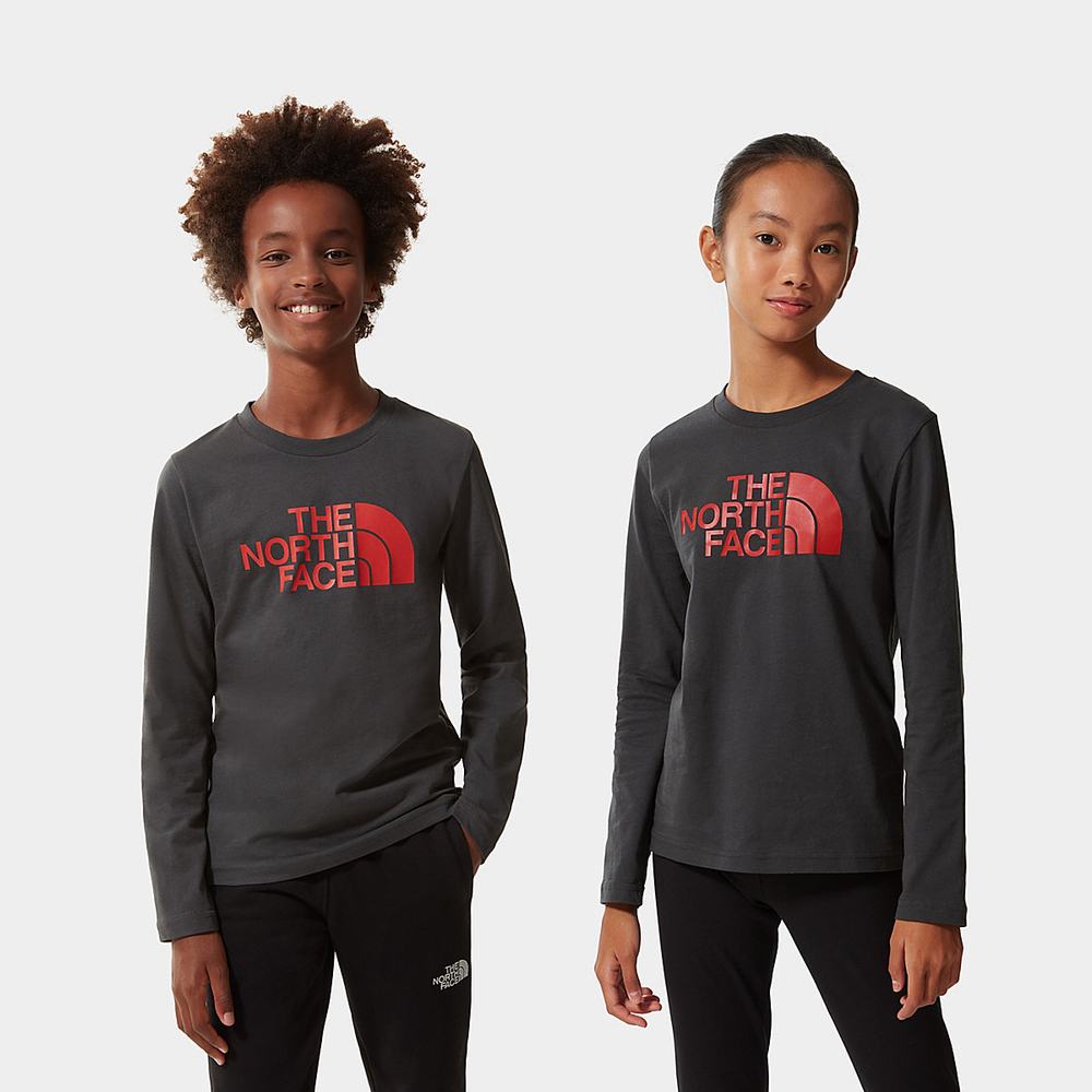 Tricko The North Face Easy Long-Sleeve Chlapcenske Siva Červené | UCG-219765