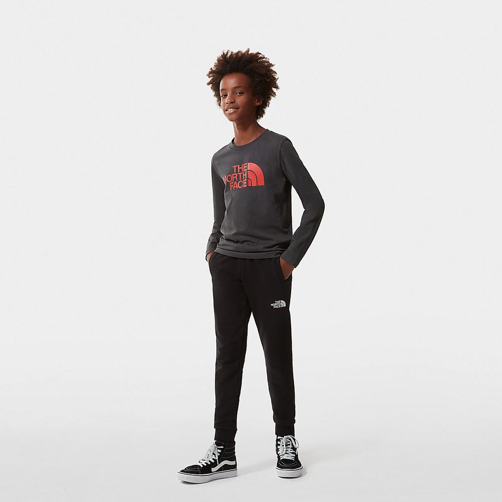 Tricko The North Face Easy Long-Sleeve Dievcenske Siva Červené | IWQ-723618