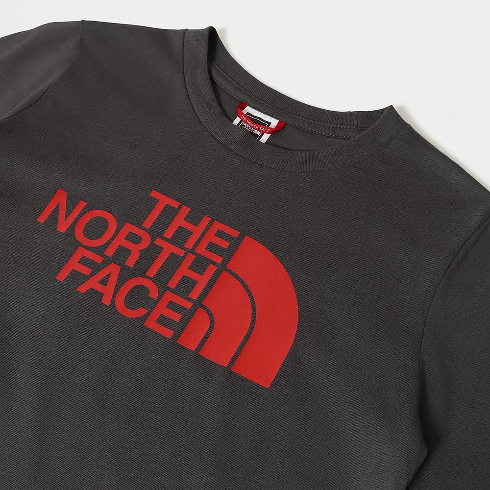 Tricko The North Face Easy Long-Sleeve Dievcenske Siva Červené | IWQ-723618