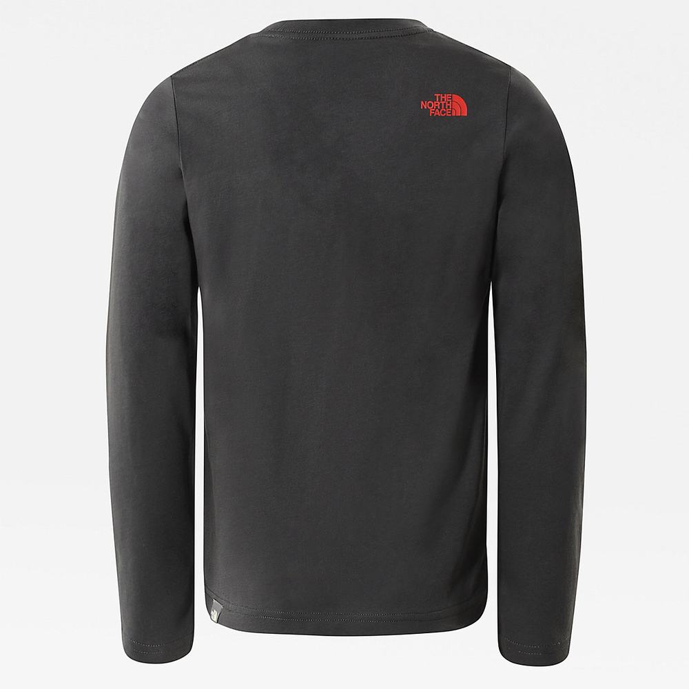 Tricko The North Face Easy Long-Sleeve Dievcenske Siva Červené | IWQ-723618