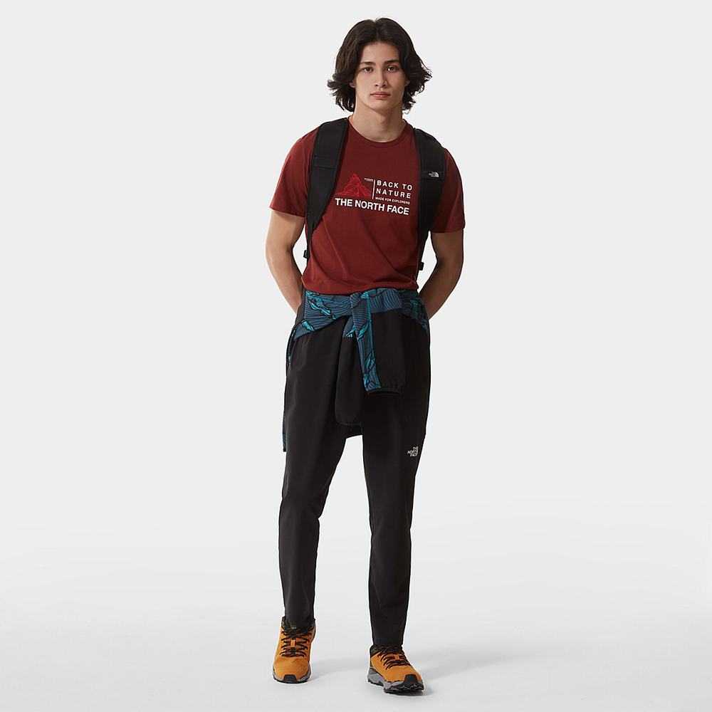 Tricko The North Face FOUNDATION GRAPHIC Panske Tmavo Červené | TBM-713089