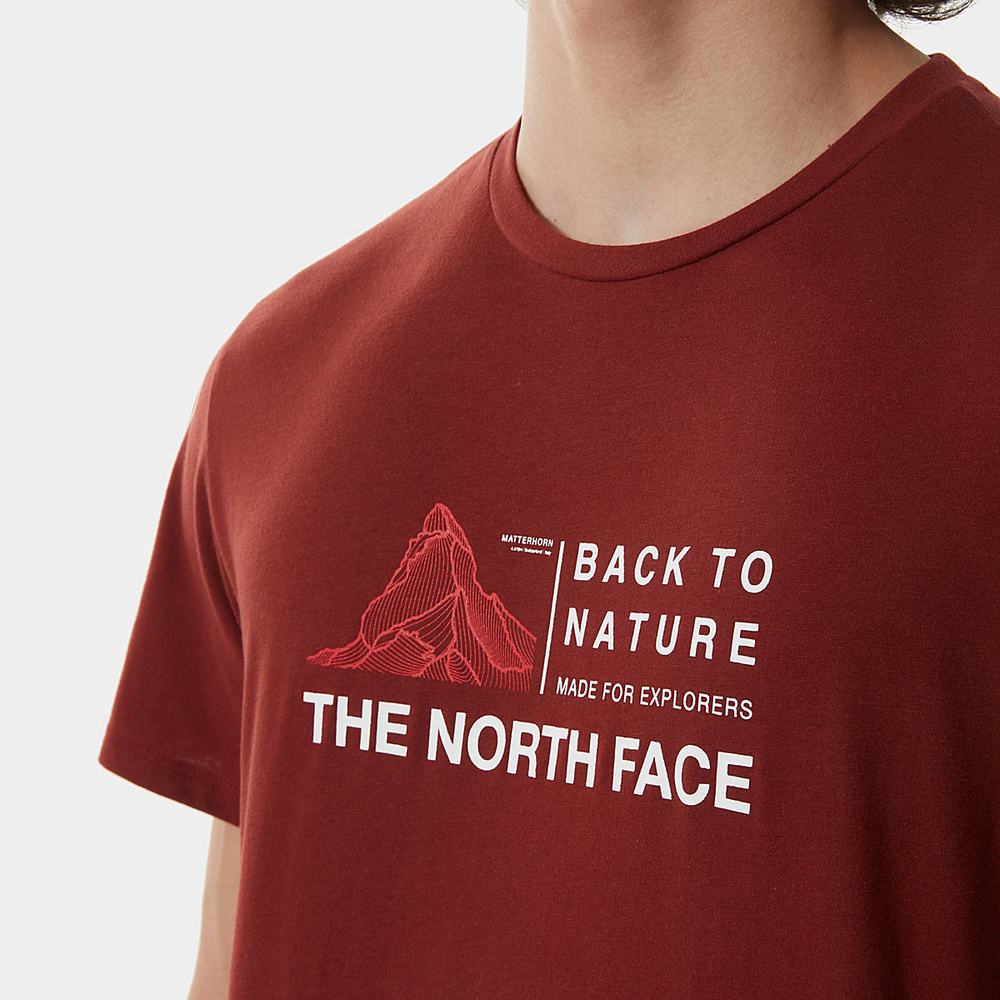 Tricko The North Face FOUNDATION GRAPHIC Panske Tmavo Červené | TBM-713089