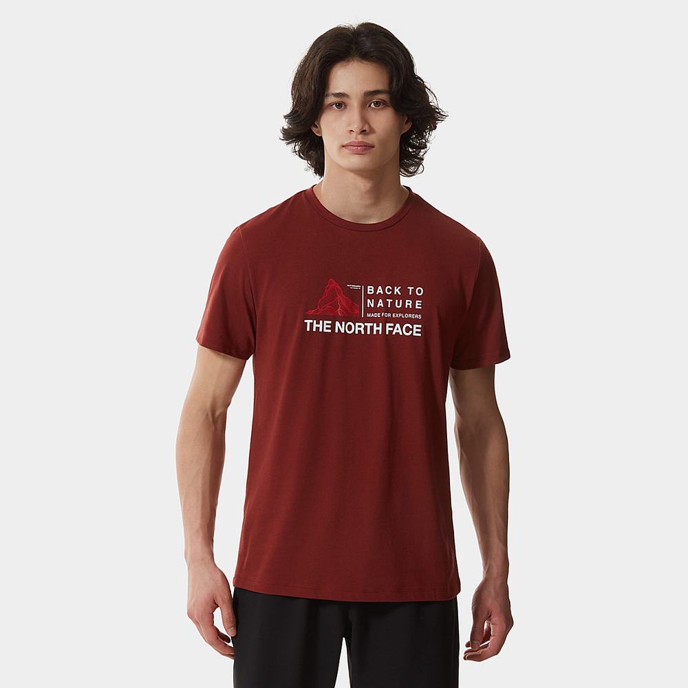 Tricko The North Face FOUNDATION GRAPHIC Panske Tmavo Červené | TBM-713089