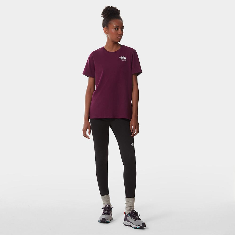 Tricko The North Face FOUNDATION GRAPHIC Damske Nachový | ZRD-109327