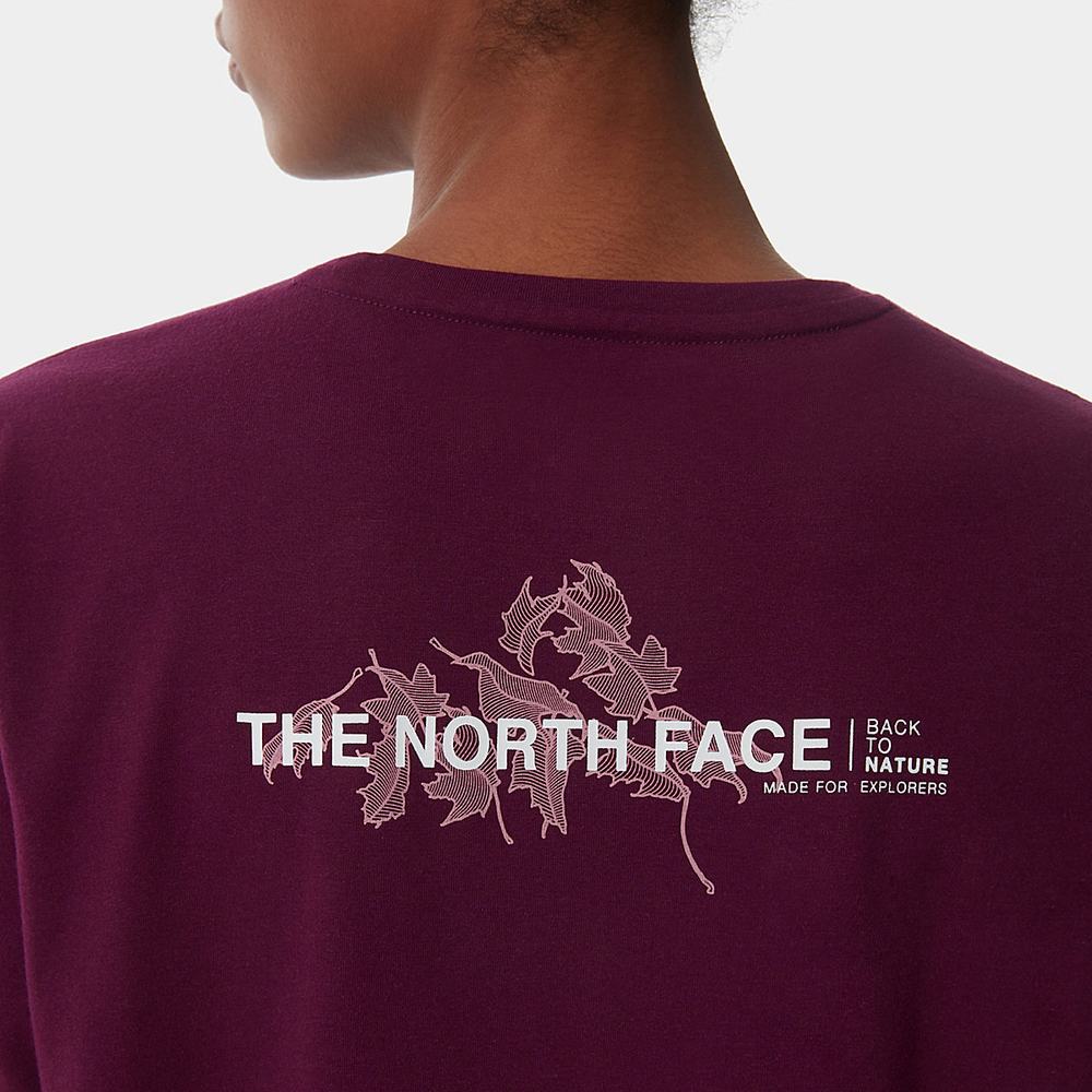 Tricko The North Face FOUNDATION GRAPHIC Damske Nachový | ZRD-109327