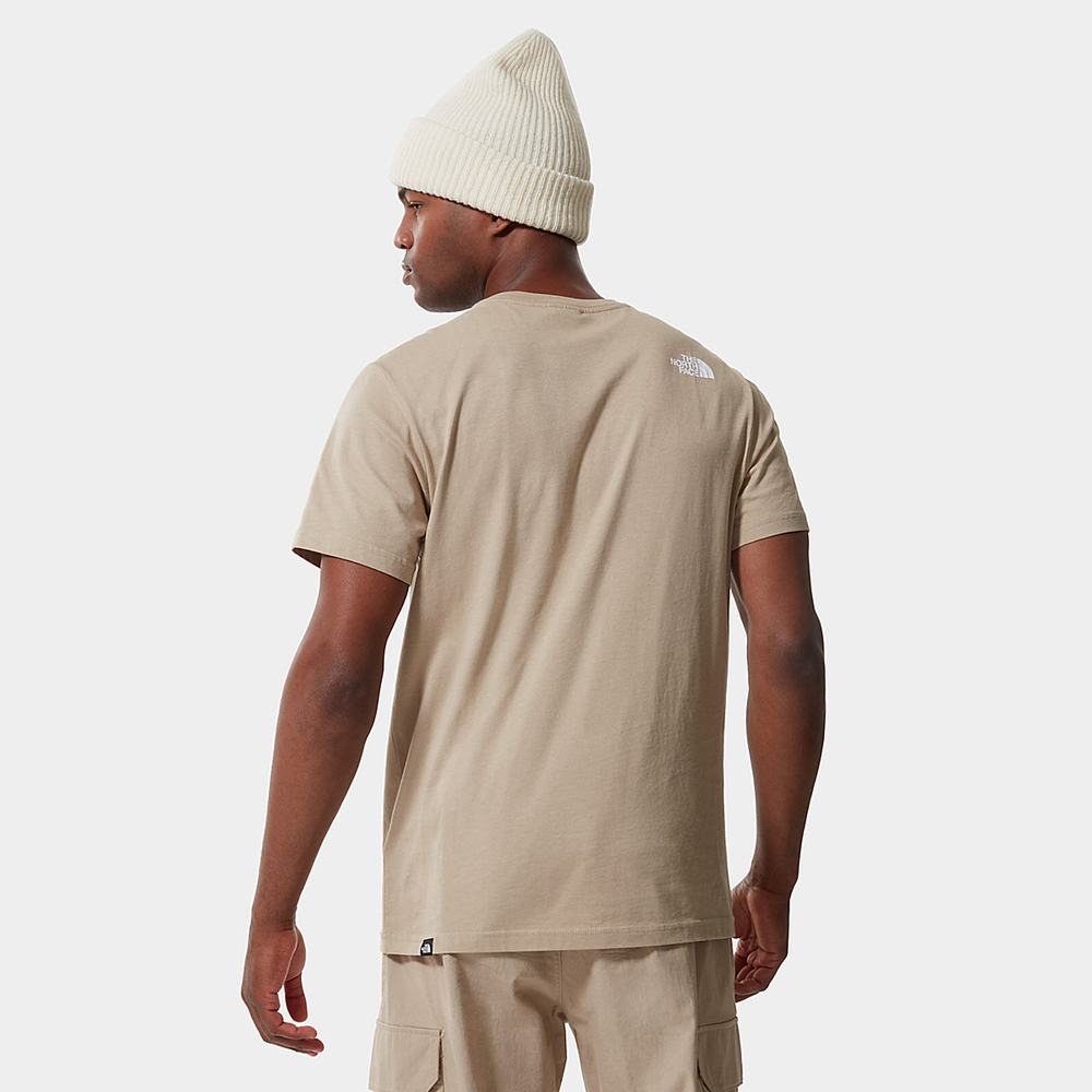 Tricko The North Face Fine Panske Strieborne Siva | ZCN-572891