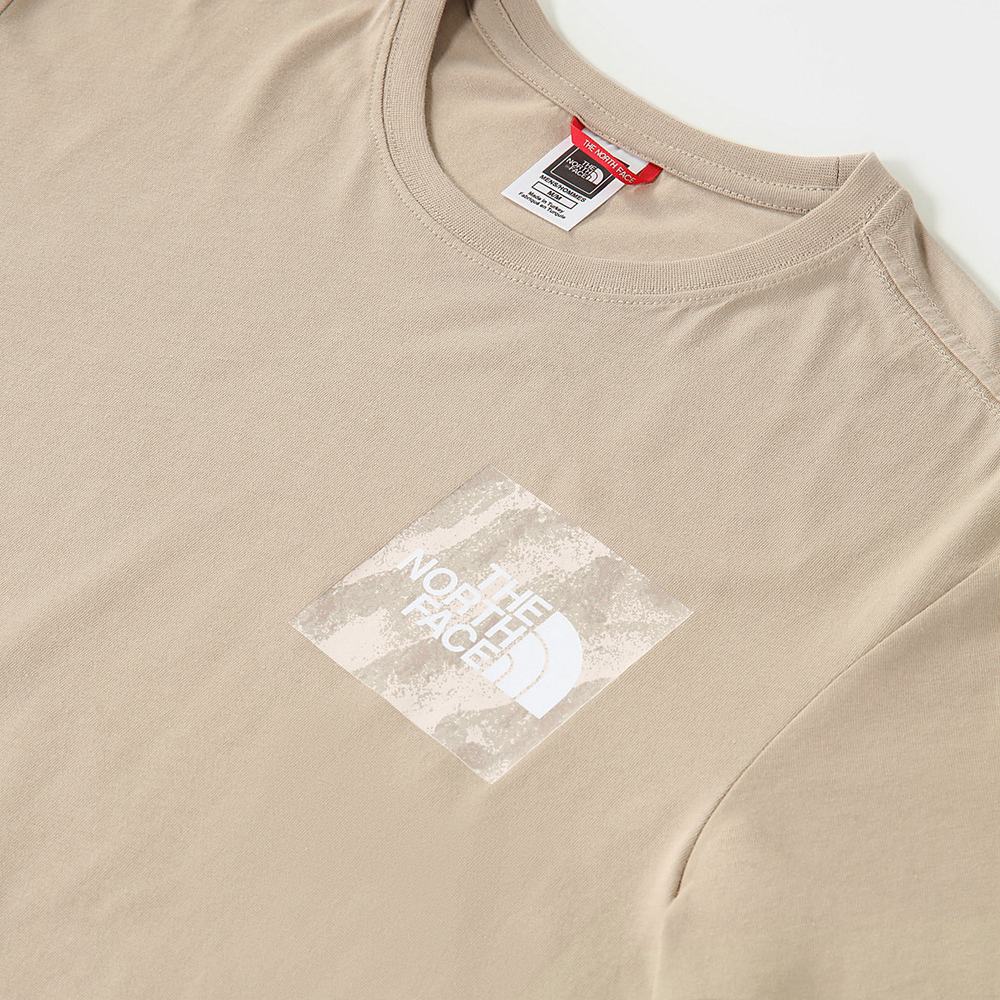 Tricko The North Face Fine Panske Strieborne Siva | ZCN-572891