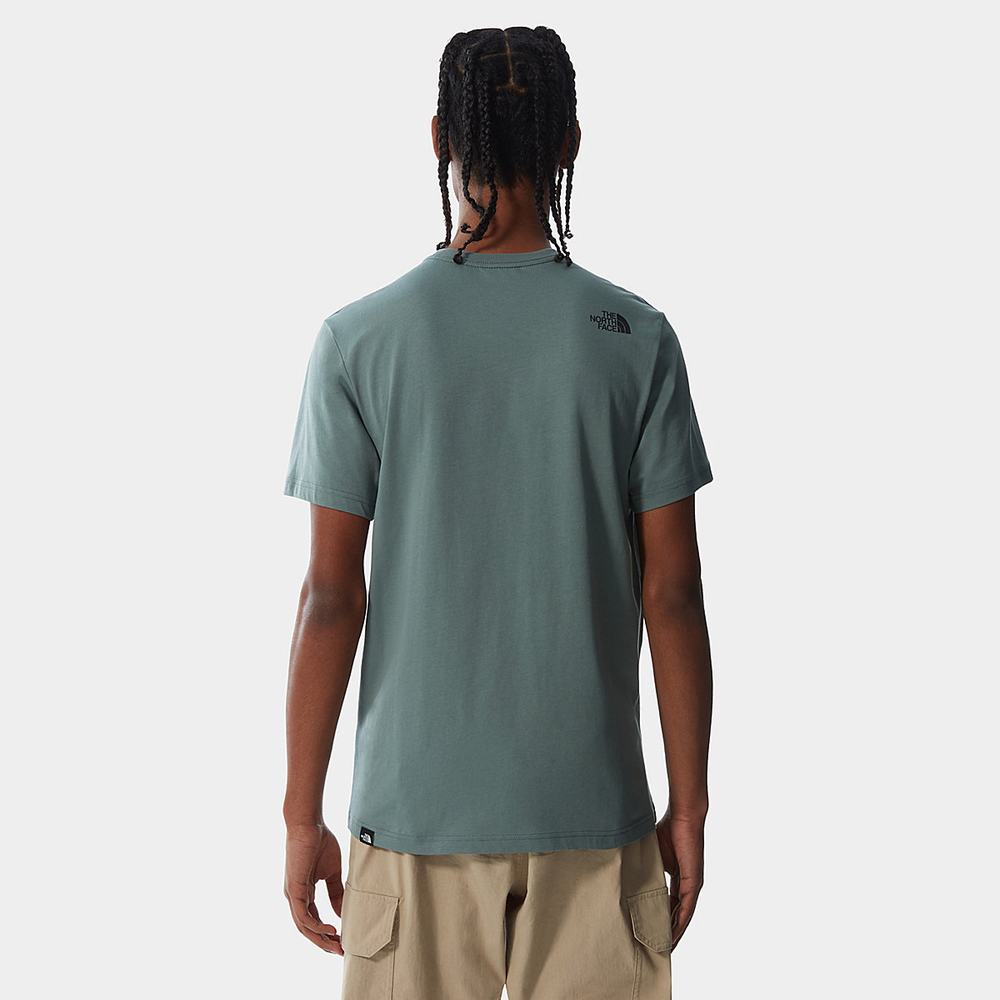 Tricko The North Face Fine Panske Zelene | FYC-024398