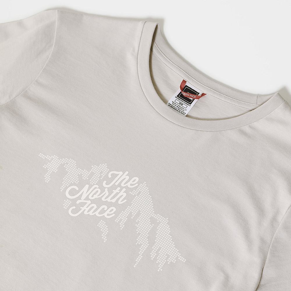 Tricko The North Face GRAPHIC LONG-SLEEVE Damske Strieborne Siva | ARG-354906