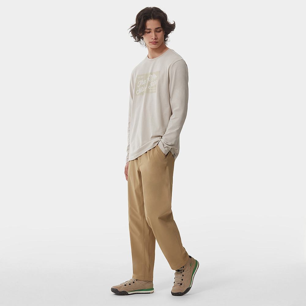 Tricko The North Face IMAGE IDEALS LONG-SLEEVE Panske Strieborne Siva | WXT-814537