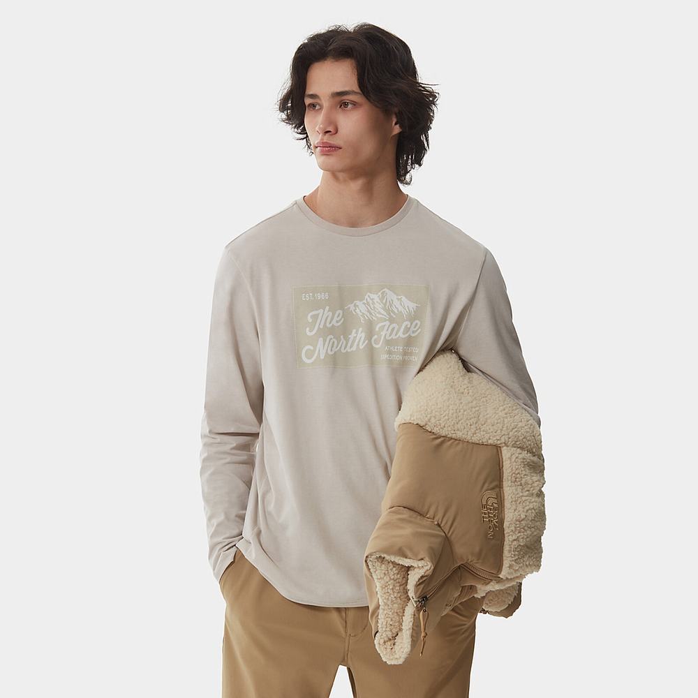 Tricko The North Face IMAGE IDEALS LONG-SLEEVE Panske Strieborne Siva | WXT-814537
