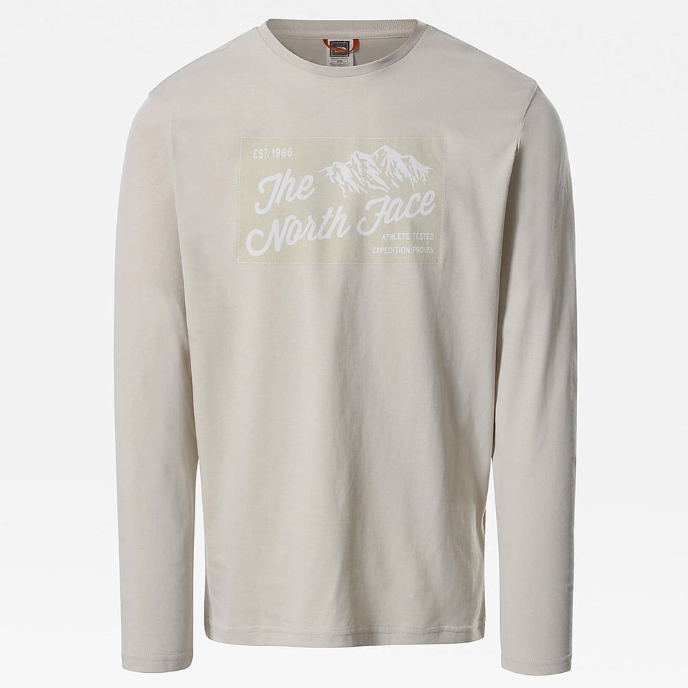 Tricko The North Face IMAGE IDEALS LONG-SLEEVE Panske Strieborne Siva | WXT-814537