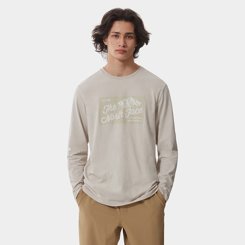 Tricko The North Face IMAGE IDEALS LONG-SLEEVE Panske Strieborne Siva | WXT-814537