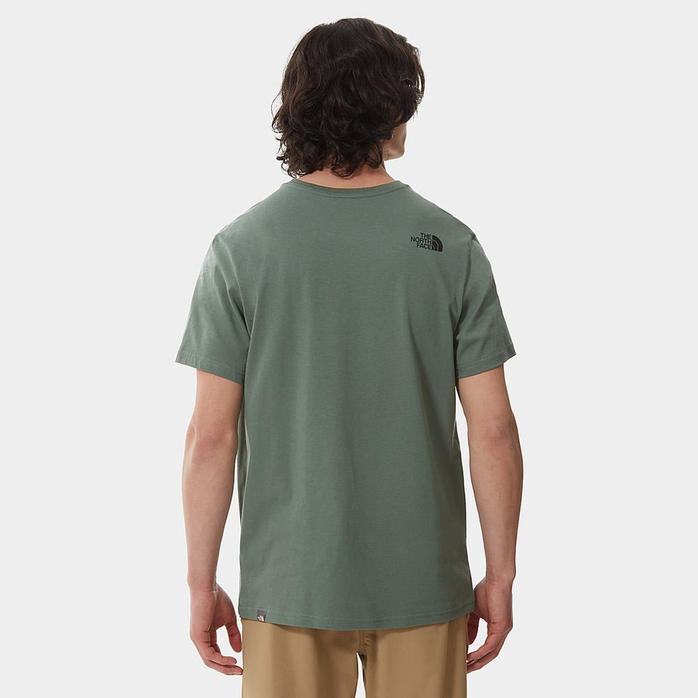 Tricko The North Face Mountain Line Panske Zelene | TZV-715398