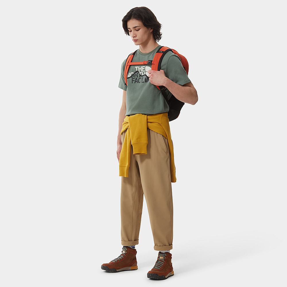 Tricko The North Face Mountain Line Panske Zelene | TZV-715398