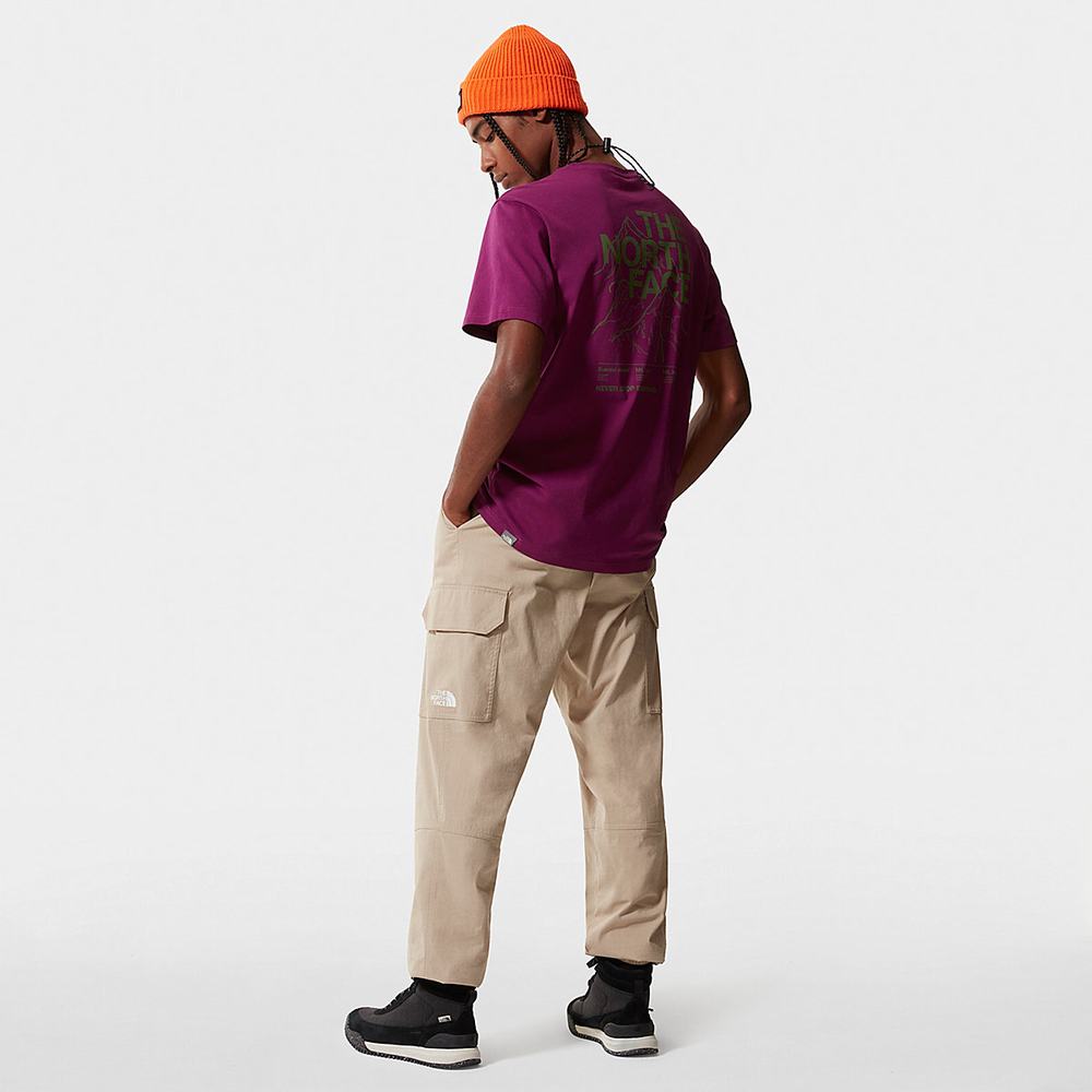 Tricko The North Face Mountain Outline Panske Nachový | HKF-861239