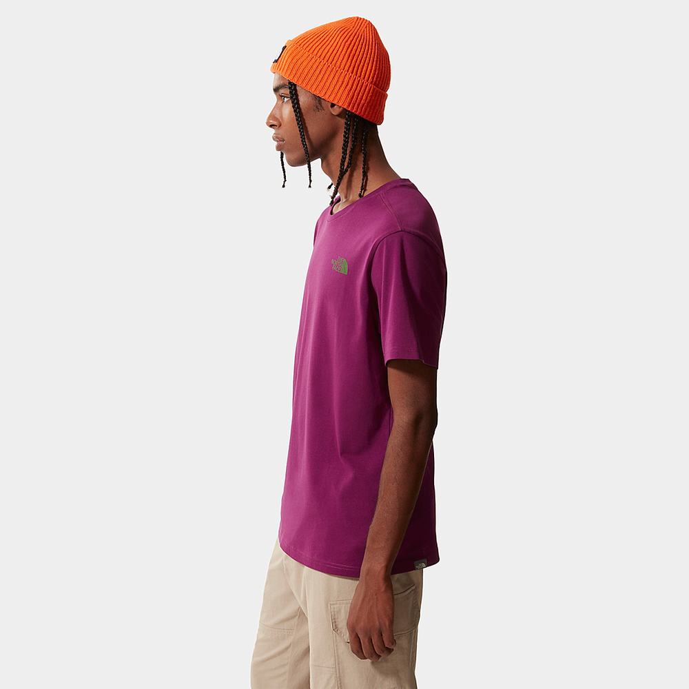 Tricko The North Face Mountain Outline Panske Nachový | HKF-861239