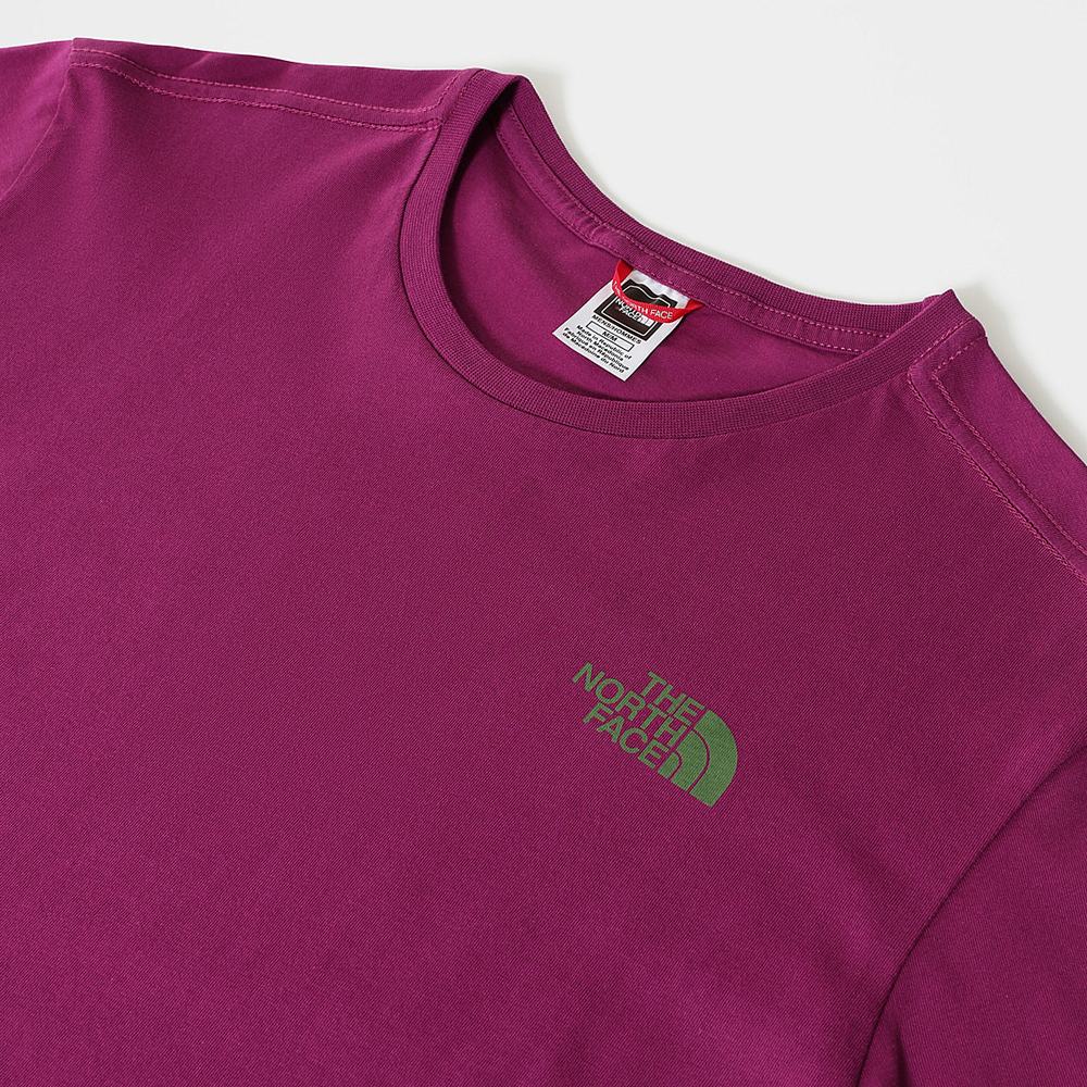 Tricko The North Face Mountain Outline Panske Nachový | HKF-861239