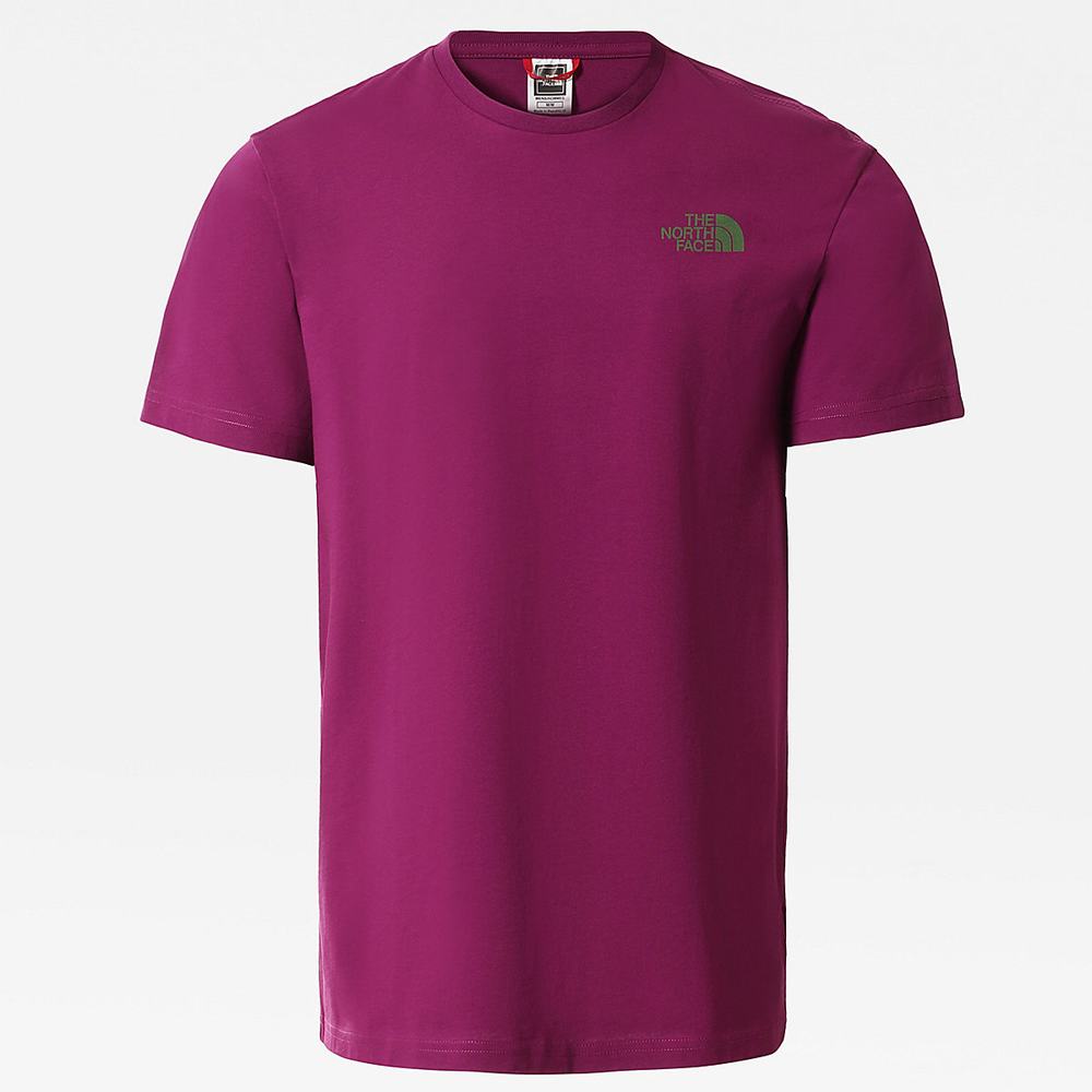 Tricko The North Face Mountain Outline Panske Nachový | HKF-861239