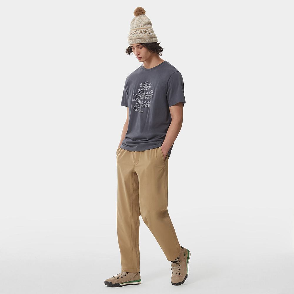 Tricko The North Face NATURAL WONDERS Panske Siva | EUS-138675