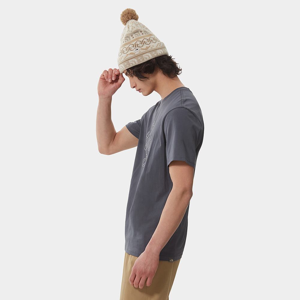 Tricko The North Face NATURAL WONDERS Panske Siva | EUS-138675