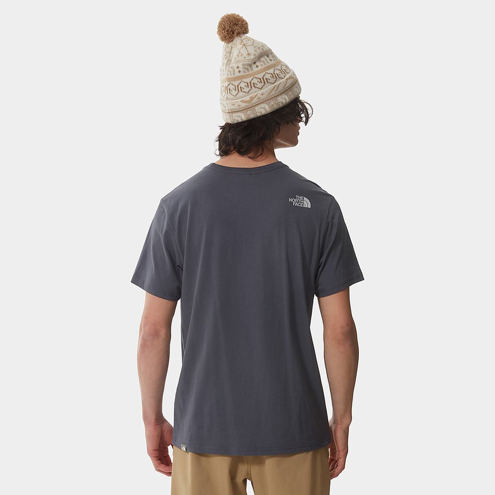 Tricko The North Face NATURAL WONDERS Panske Siva | EUS-138675
