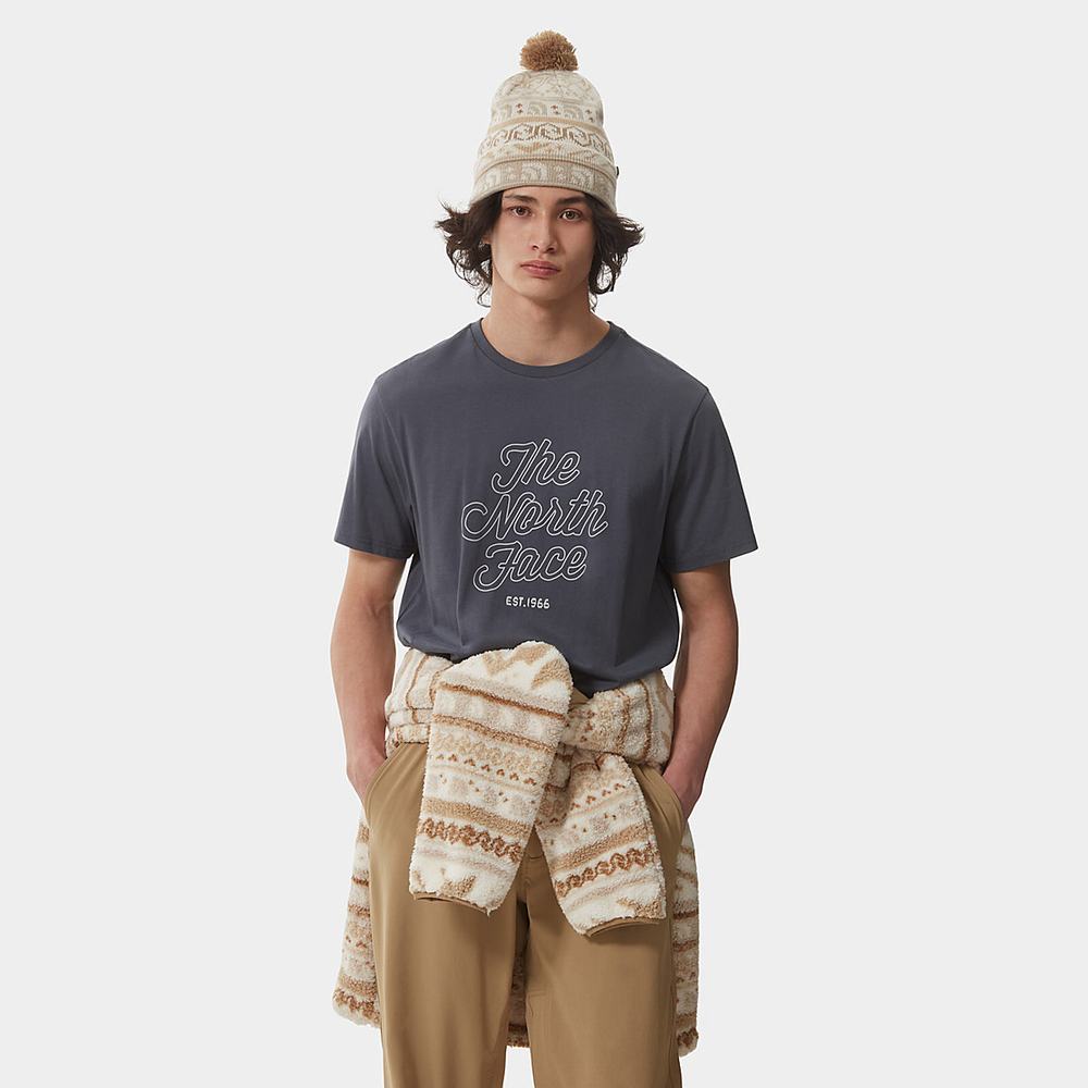 Tricko The North Face NATURAL WONDERS Panske Siva | EUS-138675