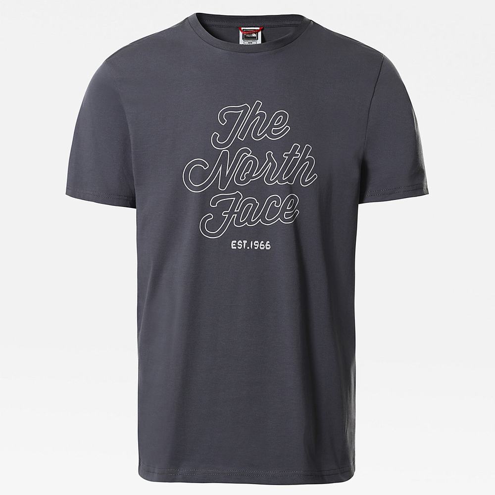 Tricko The North Face NATURAL WONDERS Panske Siva | EUS-138675
