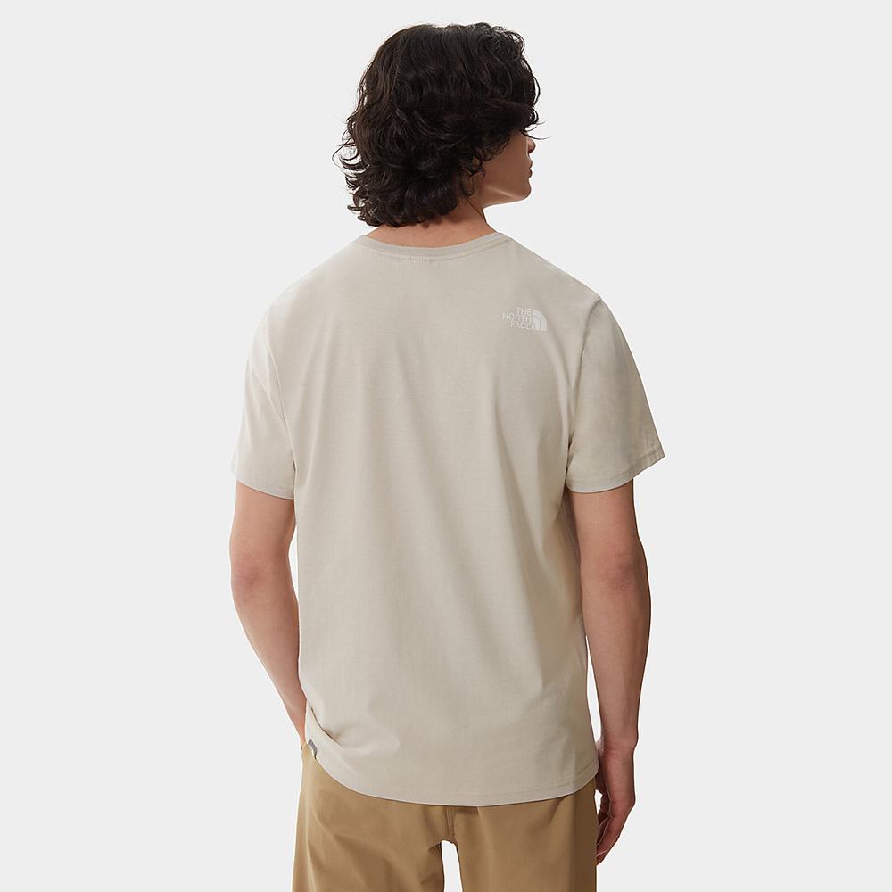 Tricko The North Face NATURAL WONDERS Panske Strieborne Siva | RGX-380974
