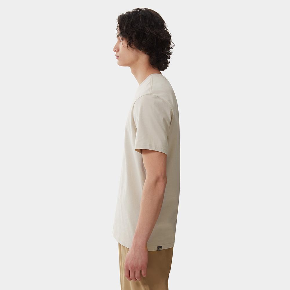 Tricko The North Face NATURAL WONDERS Panske Strieborne Siva | RGX-380974