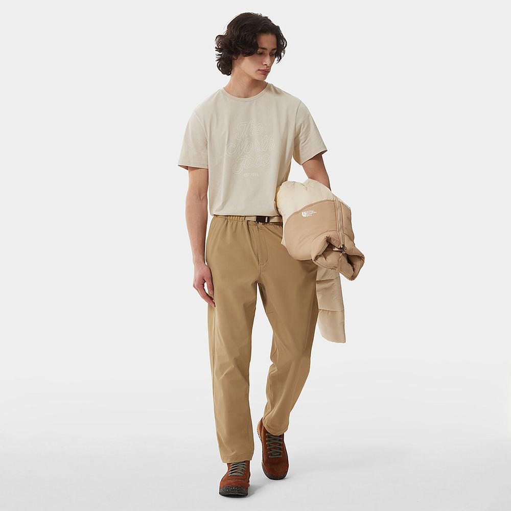 Tricko The North Face NATURAL WONDERS Panske Strieborne Siva | RGX-380974