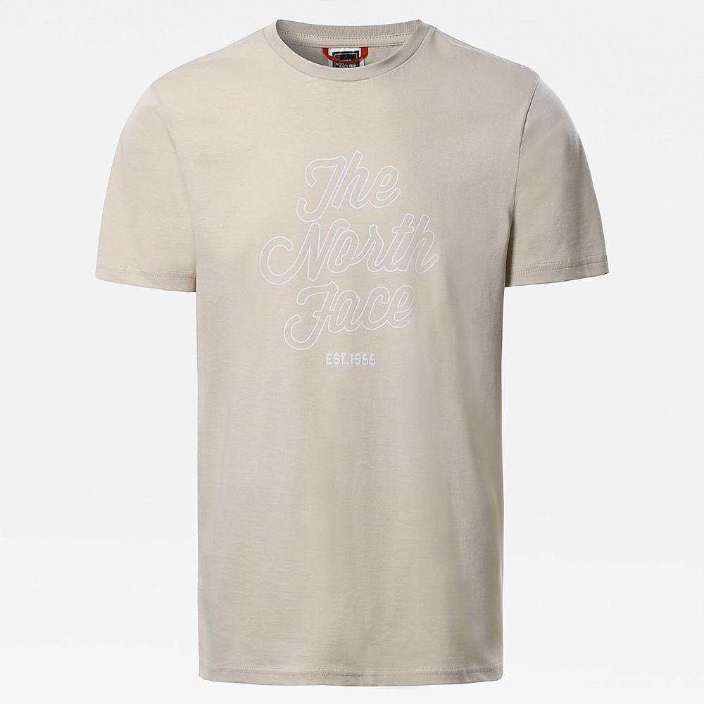 Tricko The North Face NATURAL WONDERS Panske Strieborne Siva | RGX-380974