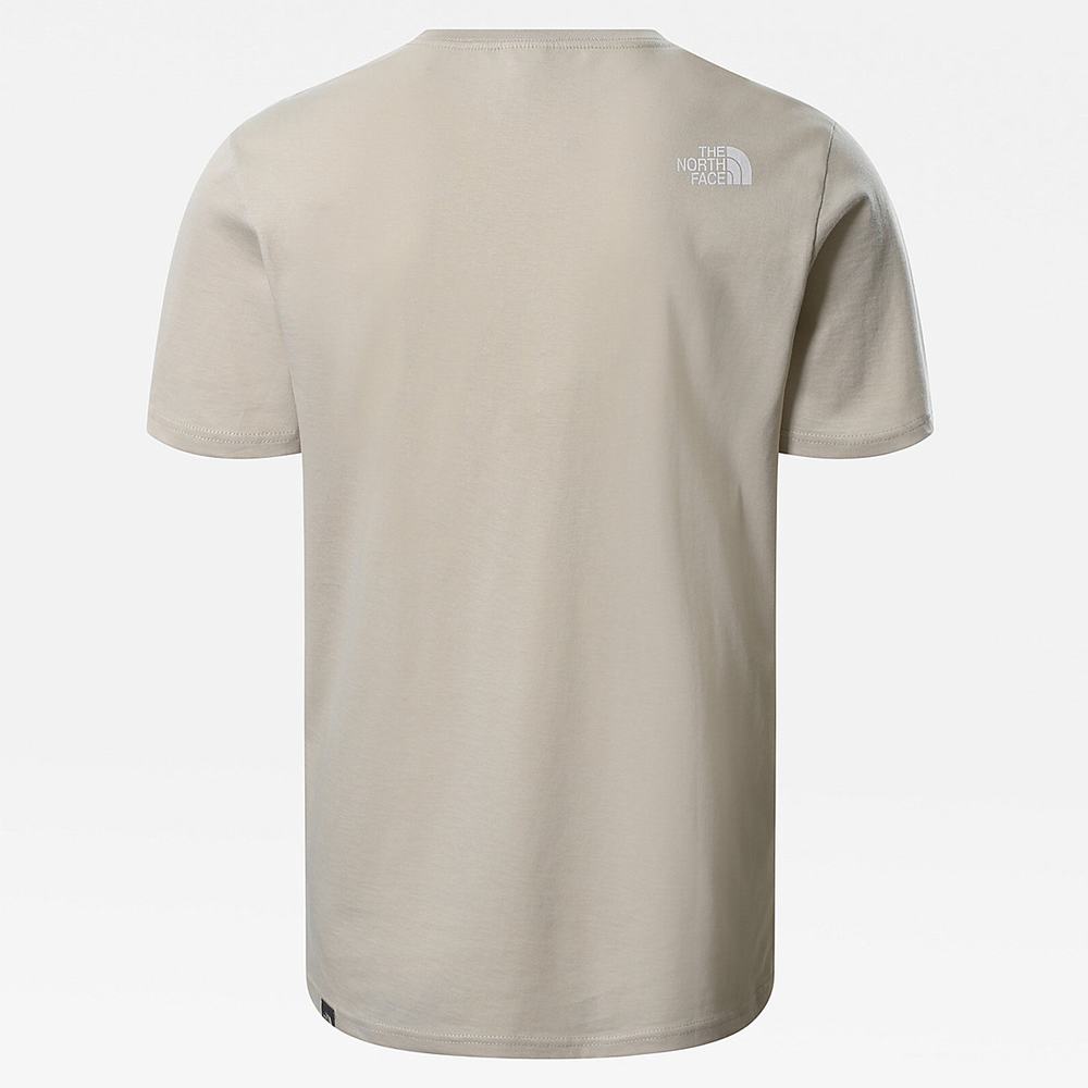 Tricko The North Face NATURAL WONDERS Panske Strieborne Siva | RGX-380974