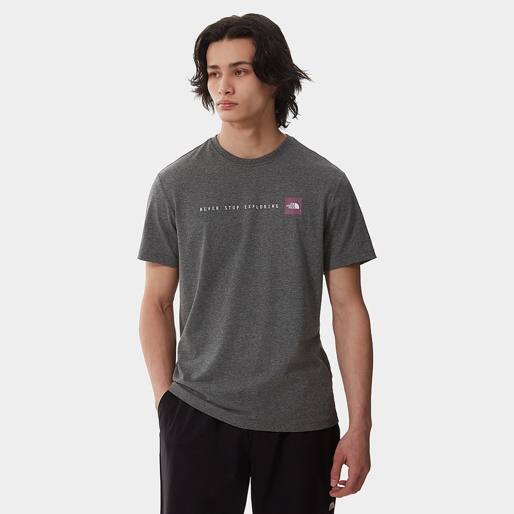 Tricko The North Face NSE Panske Siva Nachový | HBX-468350