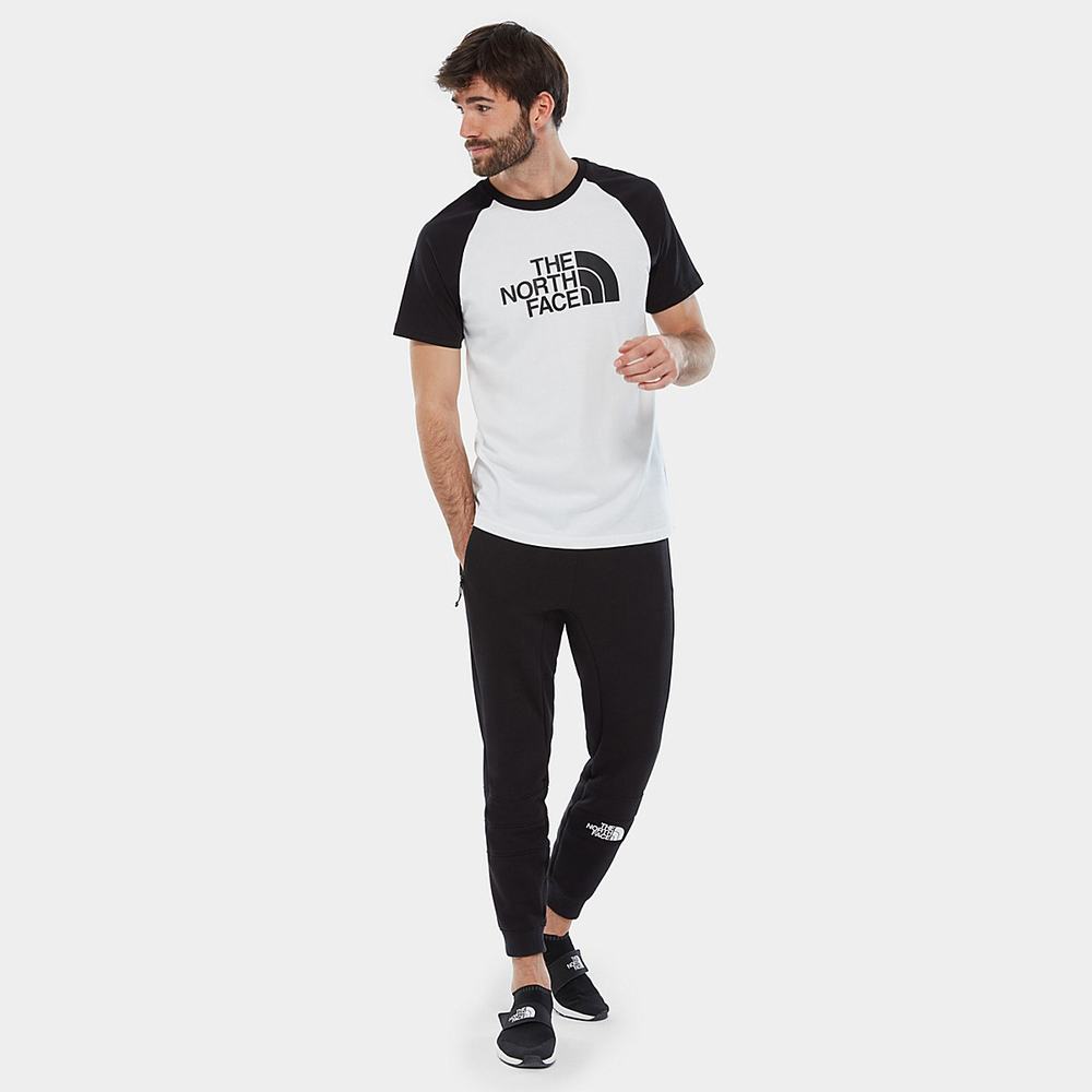 Tricko The North Face Raglan Easy Panske Biele Čierne | JNW-524073