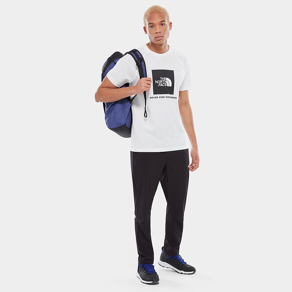 Tricko The North Face Raglan Redbox Panske Biele | BQL-271368