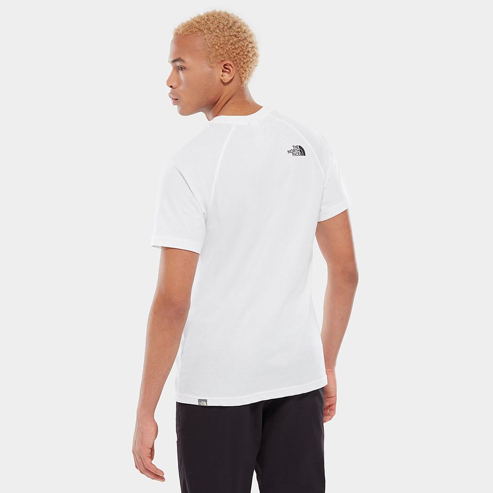 Tricko The North Face Raglan Redbox Panske Biele | BQL-271368