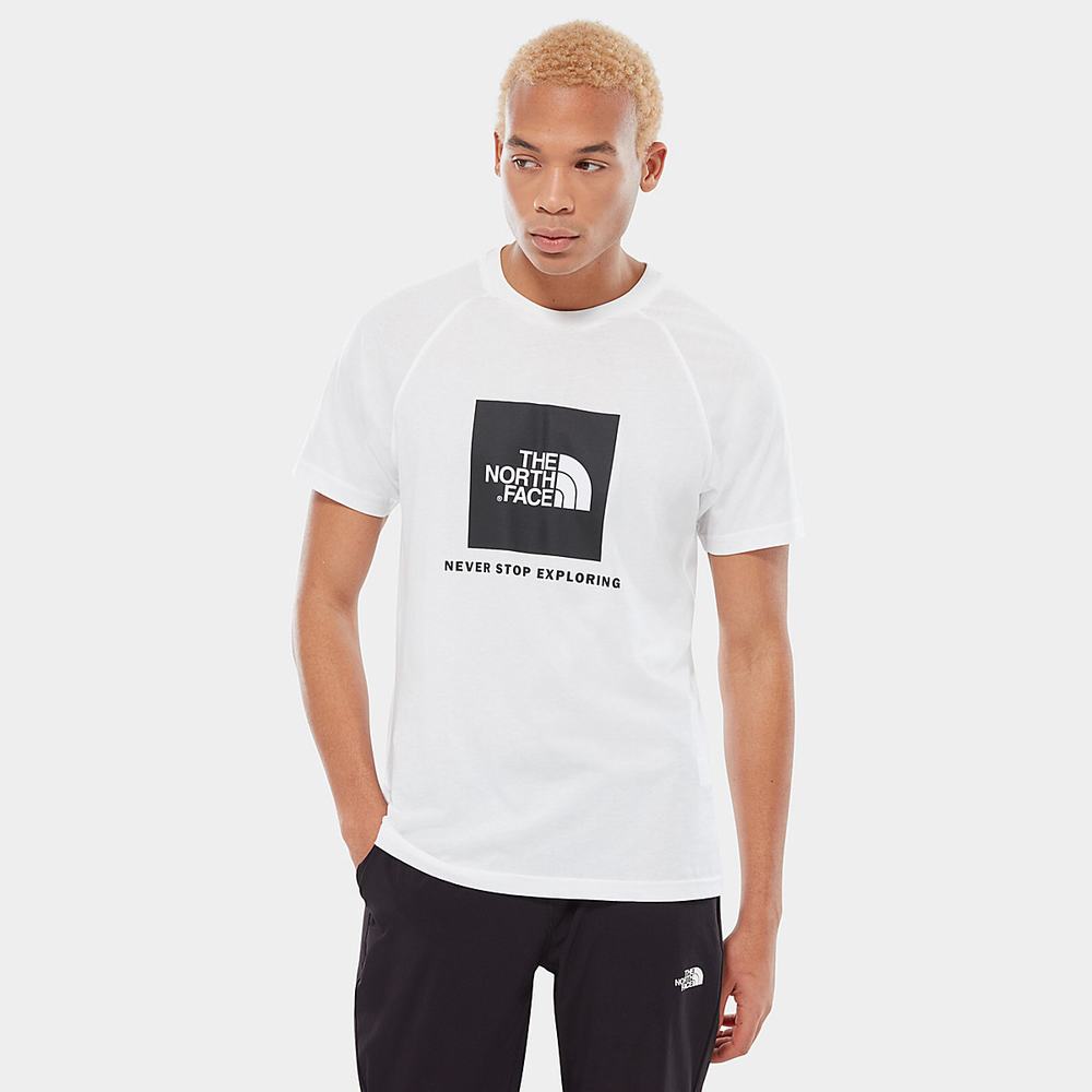 Tricko The North Face Raglan Redbox Panske Biele | BQL-271368
