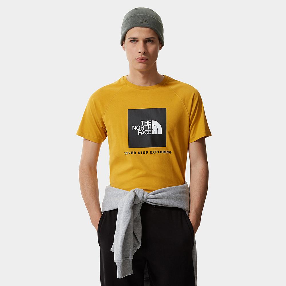 Tricko The North Face Raglan Redbox Panske Žlté | JID-963457