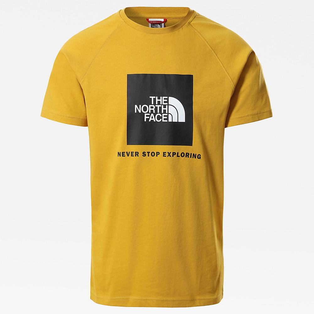 Tricko The North Face Raglan Redbox Panske Žlté | JID-963457