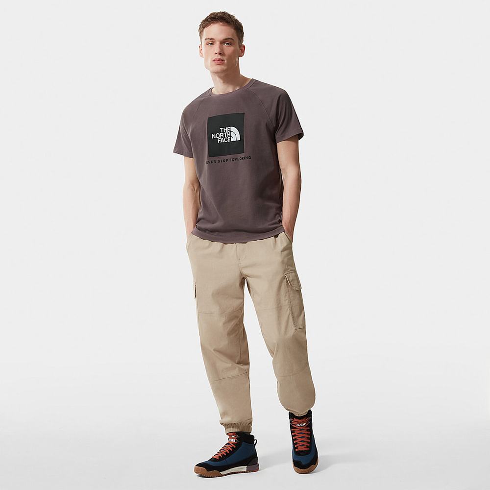 Tricko The North Face Raglan Redbox Panske Tmavo Siva Nachový | XJB-843601