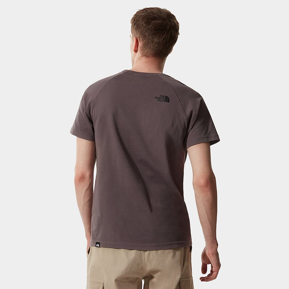 Tricko The North Face Raglan Redbox Panske Tmavo Siva Nachový | XJB-843601