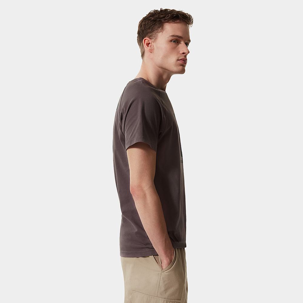Tricko The North Face Raglan Redbox Panske Tmavo Siva Nachový | XJB-843601