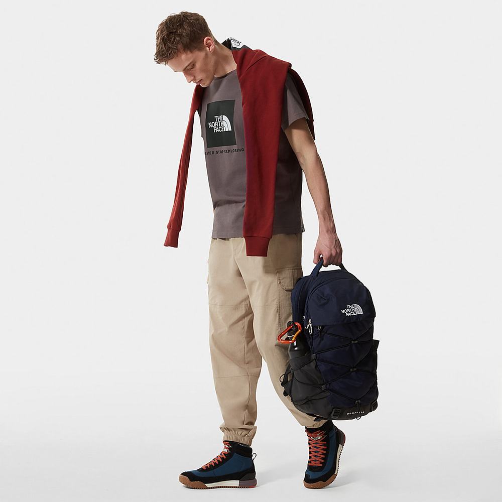 Tricko The North Face Raglan Redbox Panske Tmavo Siva Nachový | XJB-843601