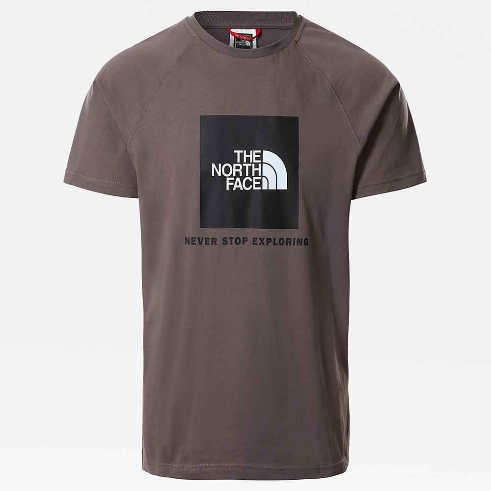 Tricko The North Face Raglan Redbox Panske Tmavo Siva Nachový | XJB-843601