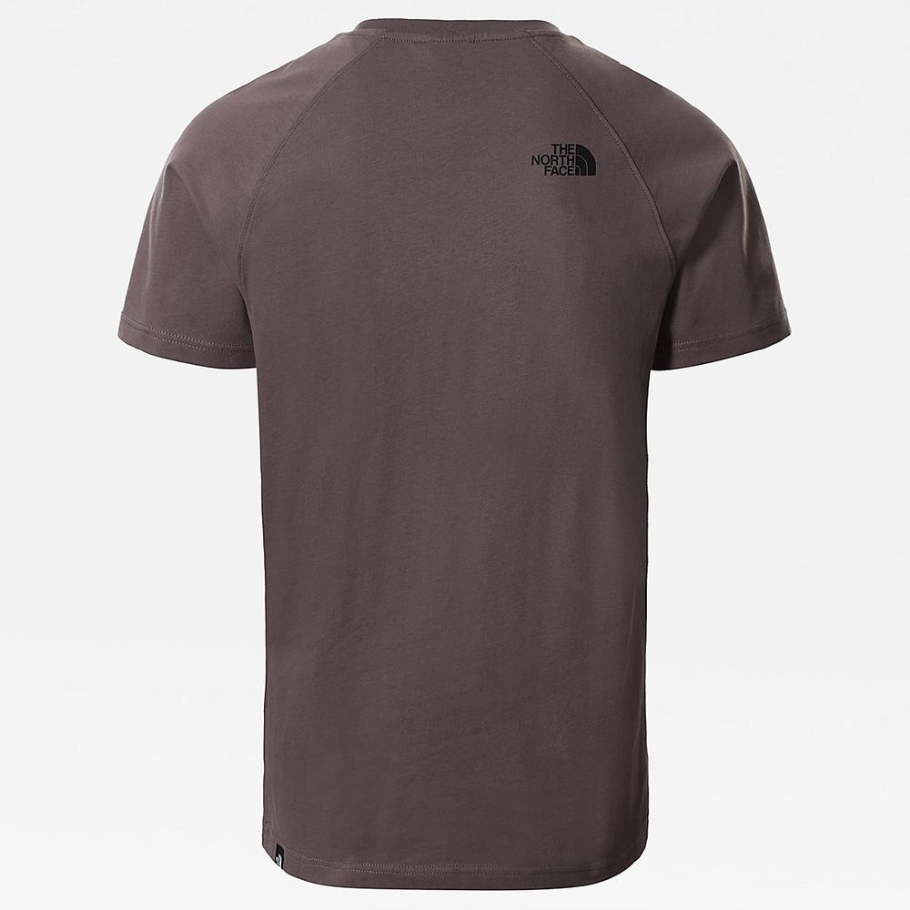 Tricko The North Face Raglan Redbox Panske Tmavo Siva Nachový | XJB-843601