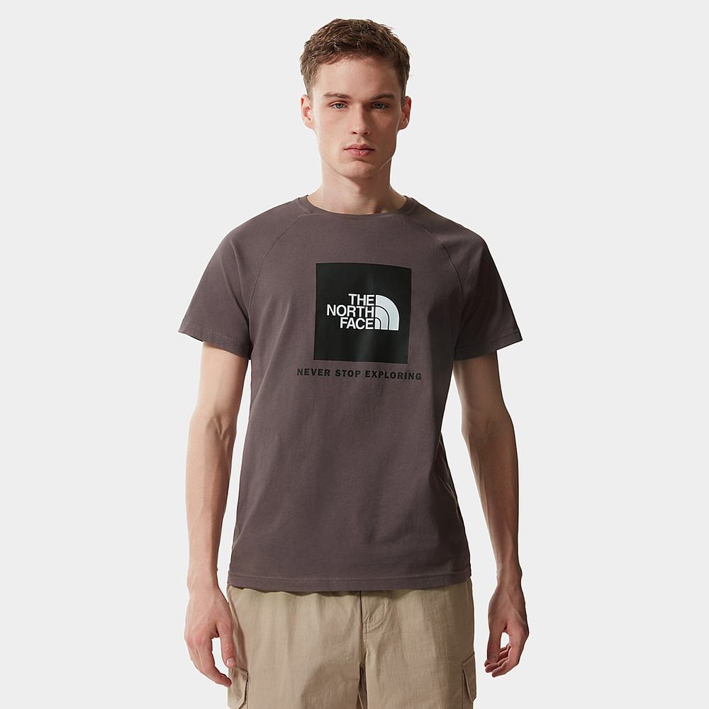 Tricko The North Face Raglan Redbox Panske Tmavo Siva Nachový | XJB-843601